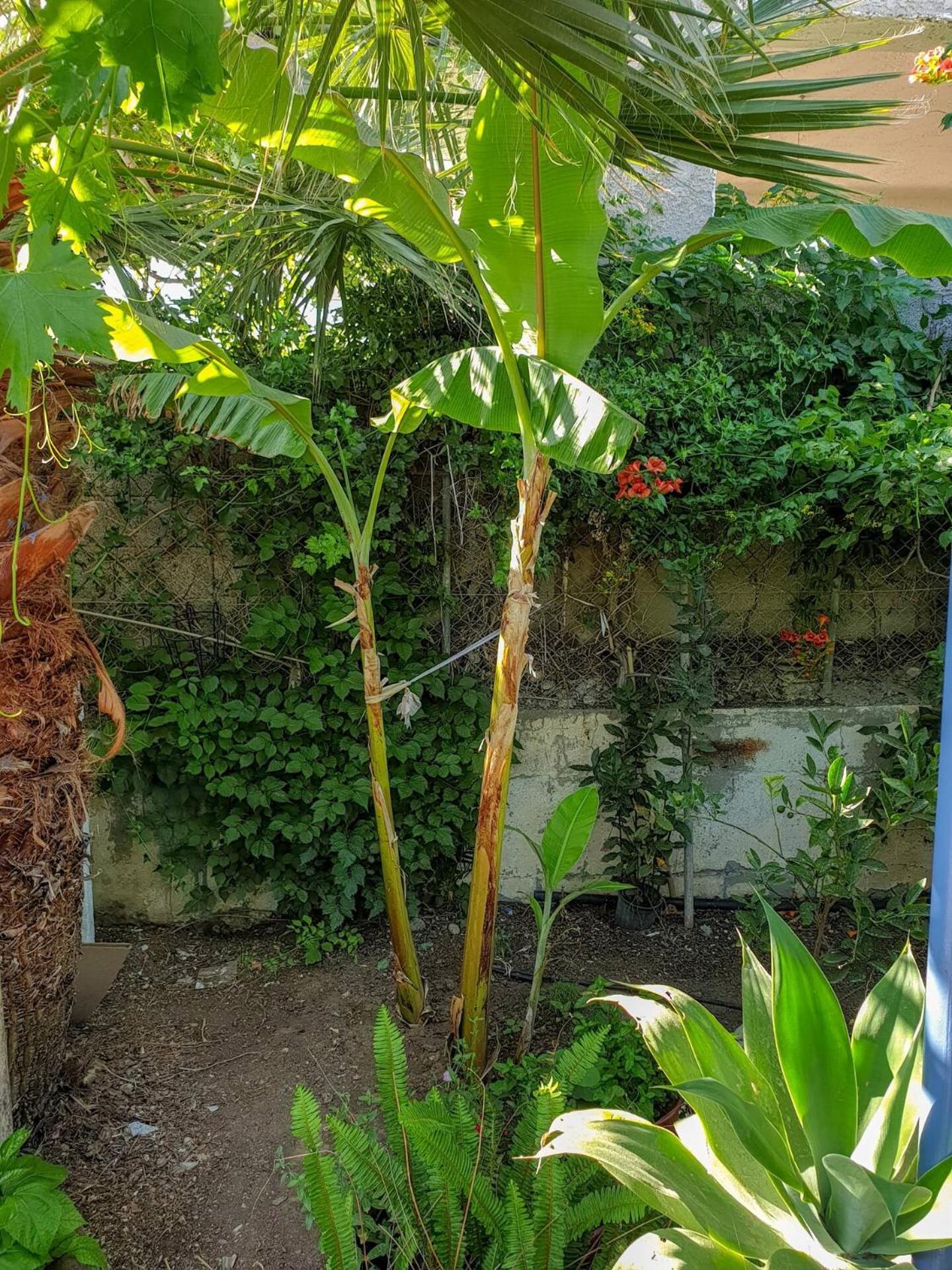 Villa Maria'S House, With Garden Kalamaki  Esterno foto